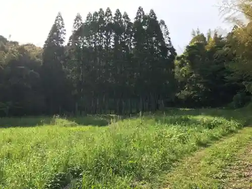 観音寺の周辺
