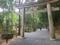 狭井坐大神荒魂神社(狭井神社)の{uncategorized: "未分類", other: "その他", undefined: "問題あり", building: "その他建物", grave: "お墓", sacred_gate: "鳥居", guardian: "狛犬", statue: "像", buddha: "仏像", history: "歴史", nature: "自然", garden: "庭園", animal: "動物", pagoda: "塔", temizu: "手水舎", mountain_gate: "山門・神門", sanctuary: "本殿・本堂", subordinate: "末社・摂社", art: "芸術", scenery: "景色", jizo: "地蔵", ema: "絵馬", goshuin: "御朱印", omikuji: "おみくじ", items: "授与品その他", amulet: "お守り", goshuincho: "御朱印帳", eats: "食事", festival: "お祭り", votive_dance: "神楽", shichigosan: "七五三参", wedding: "結婚式", experience: "体験その他", initially: "初詣", around: "周辺", anti_infection: "感染症対策"}