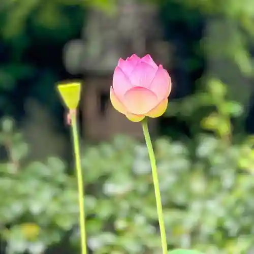伊勢の国 四天王寺(三重県)