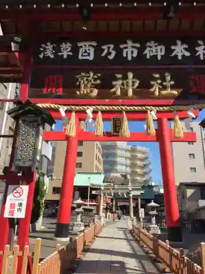 鷲神社の鳥居