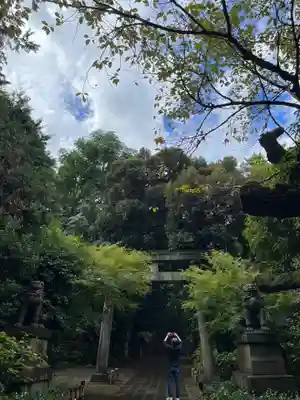赤坂氷川神社(東京都)