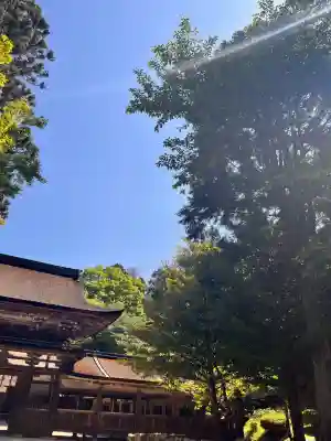 油日神社の{uncategorized: "未分類", other: "その他", undefined: "問題あり", building: "その他建物", grave: "お墓", sacred_gate: "鳥居", guardian: "狛犬", statue: "像", buddha: "仏像", history: "歴史", nature: "自然", garden: "庭園", animal: "動物", pagoda: "塔", temizu: "手水舎", mountain_gate: "山門・神門", sanctuary: "本殿・本堂", subordinate: "末社・摂社", art: "芸術", scenery: "景色", jizo: "地蔵", ema: "絵馬", goshuin: "御朱印", omikuji: "おみくじ", items: "授与品その他", amulet: "お守り", goshuincho: "御朱印帳", eats: "食事", festival: "お祭り", votive_dance: "神楽", shichigosan: "七五三参", wedding: "結婚式", experience: "体験その他", initially: "初詣", around: "周辺", anti_infection: "感染症対策"}