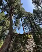 八海山坂本神社(新潟県)