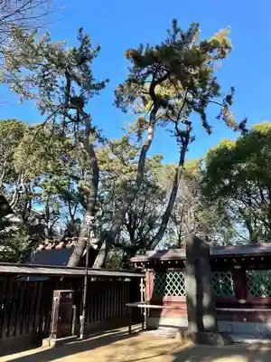 常磐神社(千葉県)