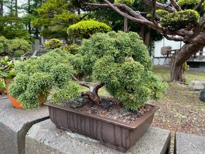 浜頓別神社(北海道)