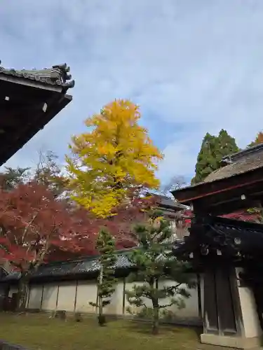 西教寺(滋賀県)