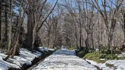 戸隠神社奥社(長野県)