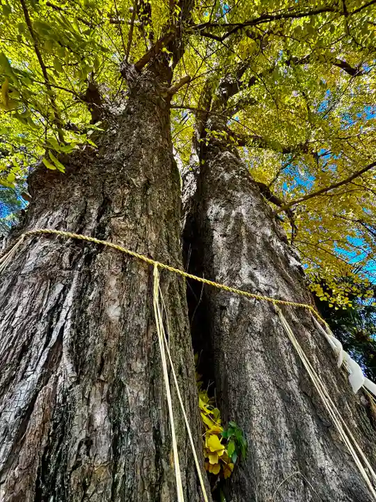 三栖神社(京都府)