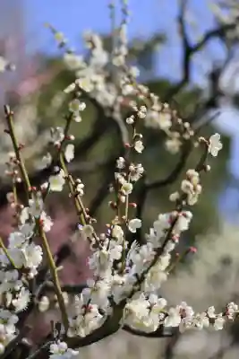 梅林寺(福岡県)