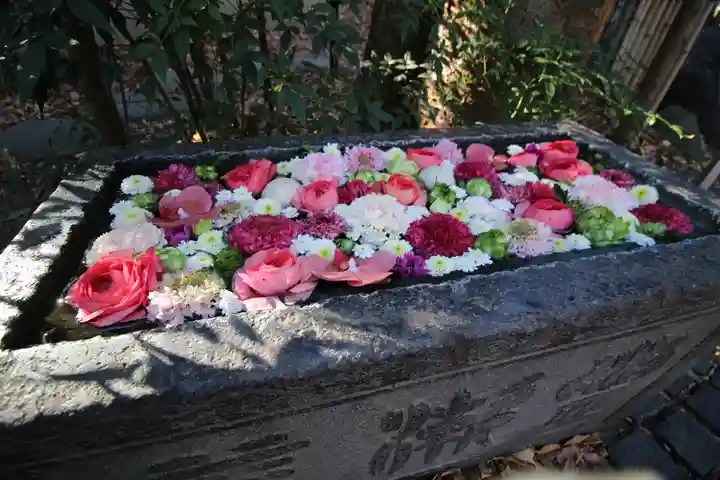 行田八幡神社(埼玉県)