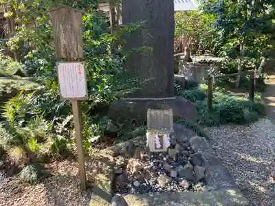 岩槻久伊豆神社(埼玉県)