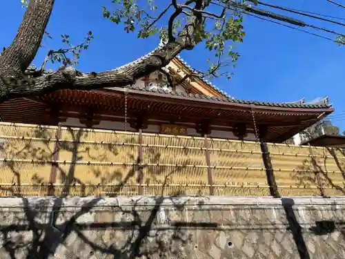 安養寺の本殿・本堂