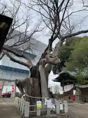 阿邪訶根神社(福島県)