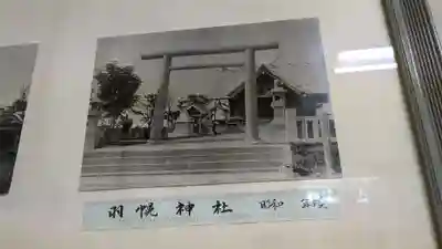 羽幌神社の歴史