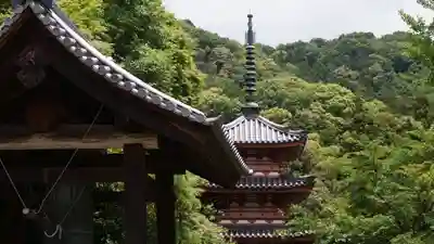 三室戸寺の塔