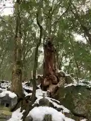 西林寺(兵庫県)