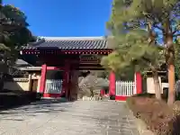 東福寺の{uncategorized: "未分類", other: "その他", undefined: "問題あり", building: "その他建物", grave: "お墓", sacred_gate: "鳥居", guardian: "狛犬", statue: "像", buddha: "仏像", history: "歴史", nature: "自然", garden: "庭園", animal: "動物", pagoda: "塔", temizu: "手水舎", mountain_gate: "山門・神門", sanctuary: "本殿・本堂", subordinate: "末社・摂社", art: "芸術", scenery: "景色", jizo: "地蔵", ema: "絵馬", goshuin: "御朱印", omikuji: "おみくじ", items: "授与品その他", amulet: "お守り", goshuincho: "御朱印帳", eats: "食事", festival: "お祭り", votive_dance: "神楽", shichigosan: "七五三参", wedding: "結婚式", experience: "体験その他", initially: "初詣", around: "周辺", anti_infection: "感染症対策"}