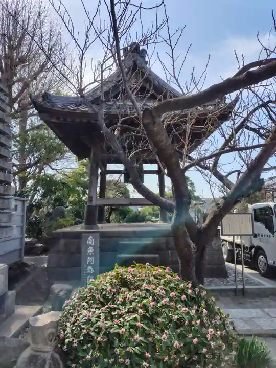 大蓮寺(千葉県)