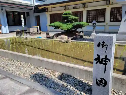 愛知縣護國神社のその他建物