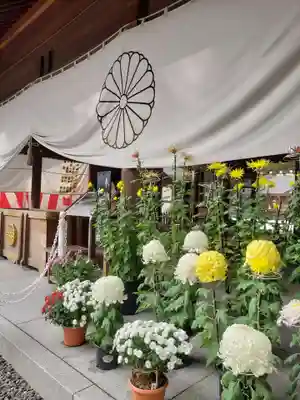 阿佐ヶ谷神明宮(東京都)