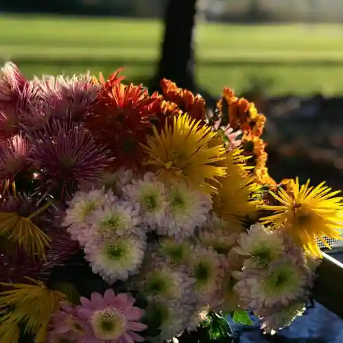 高司神社〜むすびの神の鎮まる社〜の手水舎