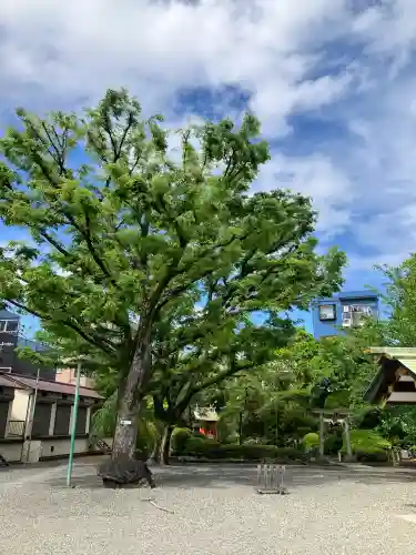 天祖諏訪神社の{uncategorized: "未分類", other: "その他", undefined: "問題あり", building: "その他建物", grave: "お墓", sacred_gate: "鳥居", guardian: "狛犬", statue: "像", buddha: "仏像", history: "歴史", nature: "自然", garden: "庭園", animal: "動物", pagoda: "塔", temizu: "手水舎", mountain_gate: "山門・神門", sanctuary: "本殿・本堂", subordinate: "末社・摂社", art: "芸術", scenery: "景色", jizo: "地蔵", ema: "絵馬", goshuin: "御朱印", omikuji: "おみくじ", items: "授与品その他", amulet: "お守り", goshuincho: "御朱印帳", eats: "食事", festival: "お祭り", votive_dance: "神楽", shichigosan: "七五三参", wedding: "結婚式", experience: "体験その他", initially: "初詣", around: "周辺", anti_infection: "感染症対策"}