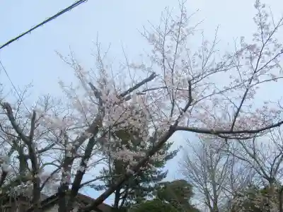 妙劍神社の自然