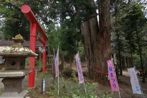 磐椅神社の鳥居