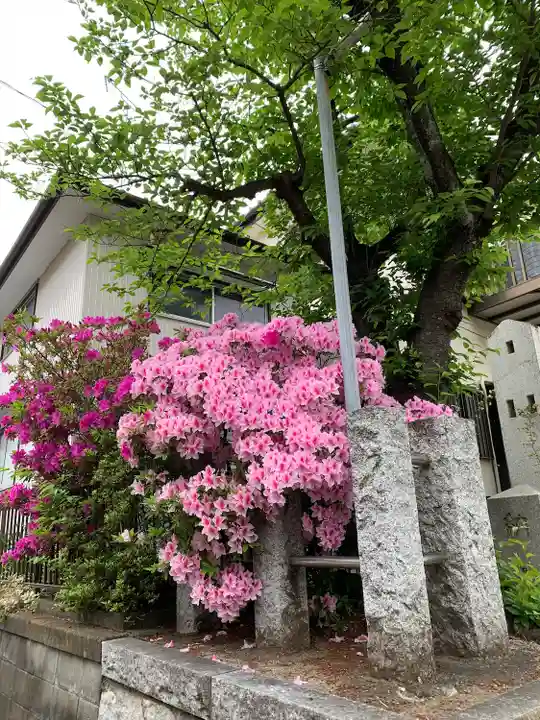 若雷神社の自然