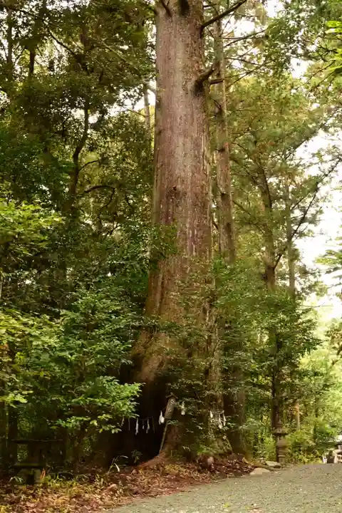 若一王子宮(高知県)
