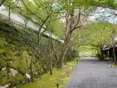 三千院門跡の建物その他