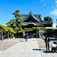 題経寺（柴又帝釈天）の建物その他