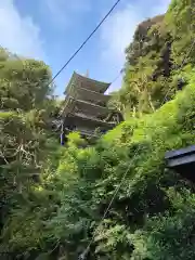 龍口寺の建物その他