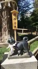 水戸八幡宮の狛犬