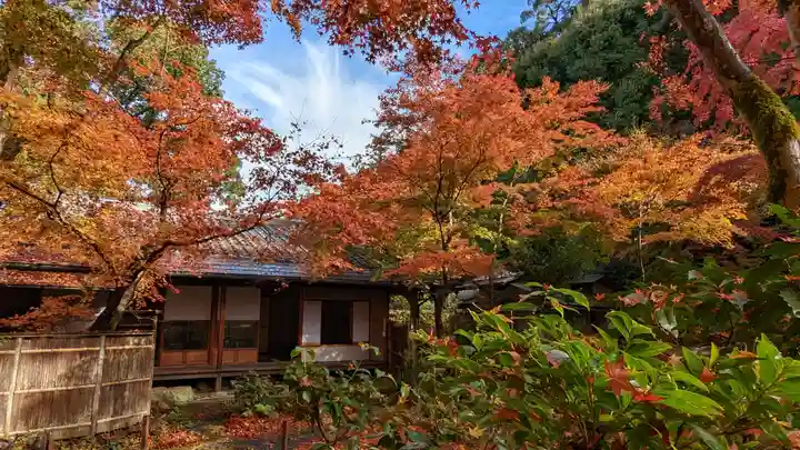 来迎院(京都府)