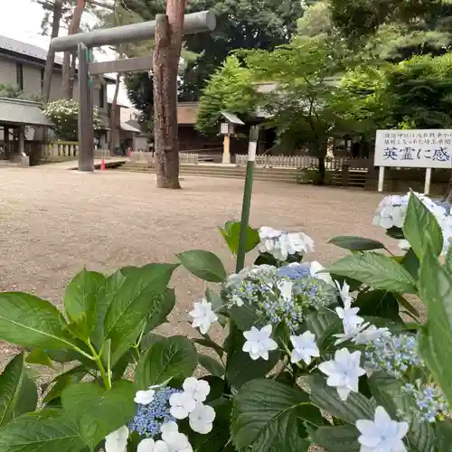 埼玉縣護國神社(埼玉県)
