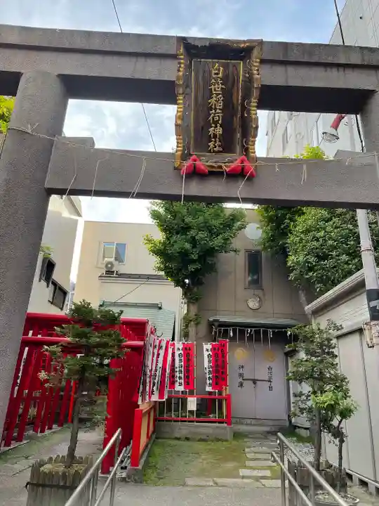 白笹稲荷神社の鳥居