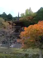 金剛院のその他建物