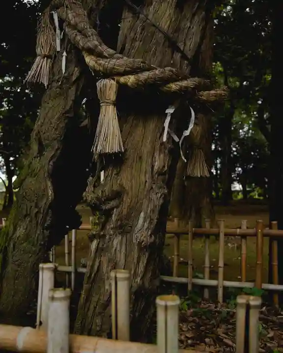 國王神社(茨城県)
