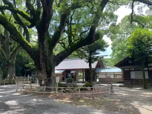 伊曽乃神社(愛媛県)