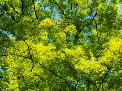 賀茂御祖神社（下鴨神社）(京都府)