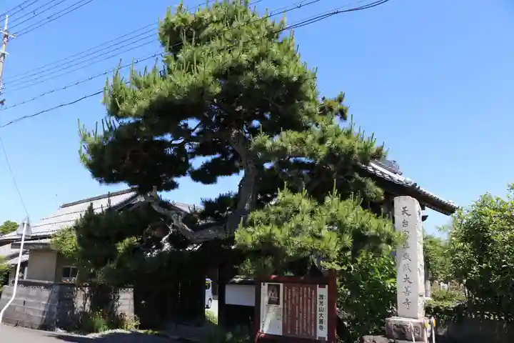大善寺(滋賀県)