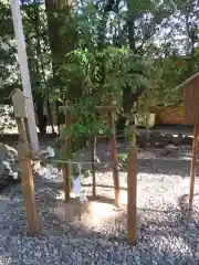 猿田彦神社の自然