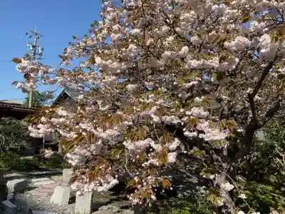 浄徳寺(岐阜県)