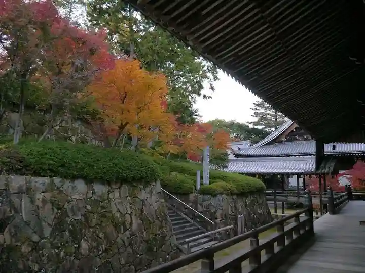 光明寺(粟生光明寺)のその他建物