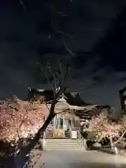 桜神宮(東京都)