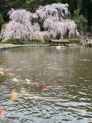 曹源寺(岡山県)