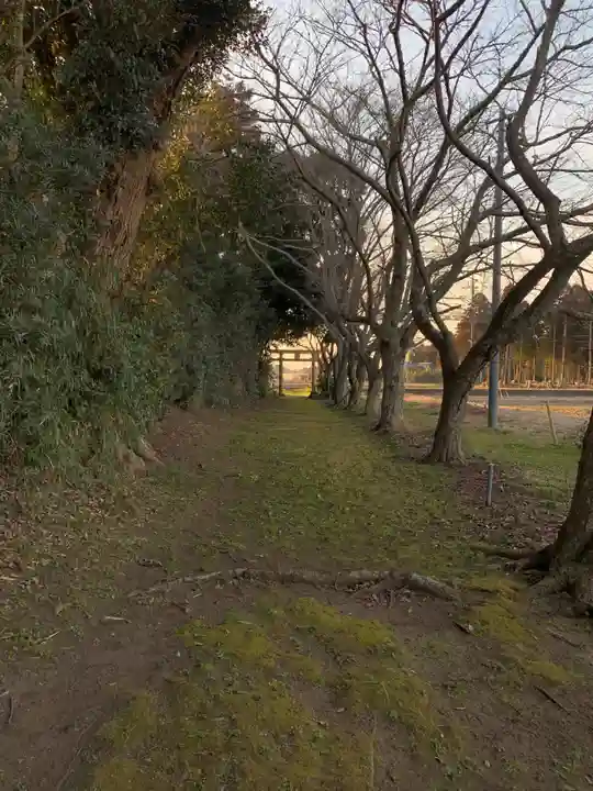 稲荷神社(千葉県)