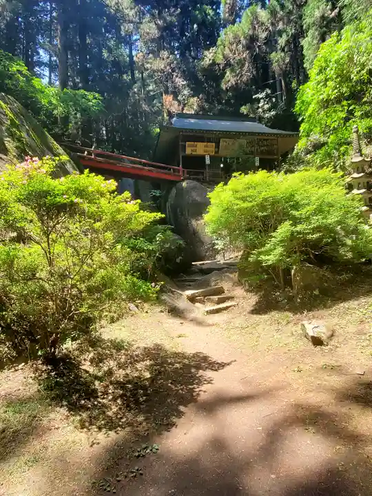 名草厳島神社の自然
