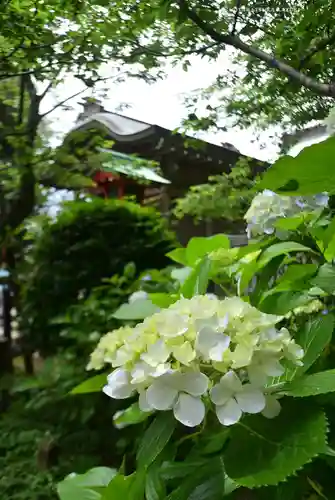 江島神社の自然